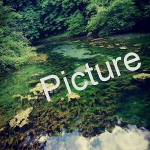 img 3a505b54cf1ef0524bd5ea44e37f1715 v