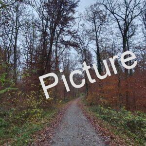 img 59f472a5fd8094b82d6425e594c46afa v