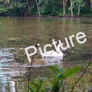 img 20210613 053215 900